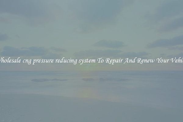 Wholesale cng pressure reducing system To Repair And Renew Your Vehicle