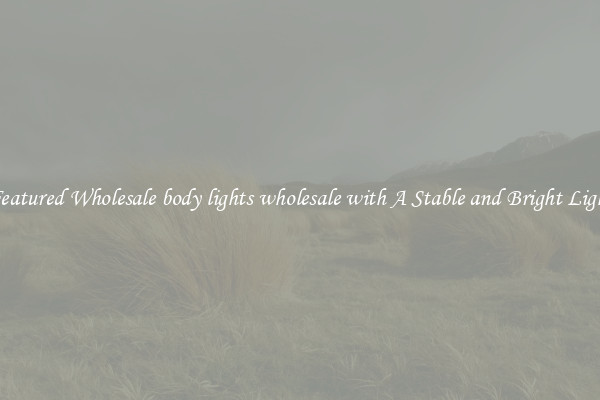 Featured Wholesale body lights wholesale with A Stable and Bright Light