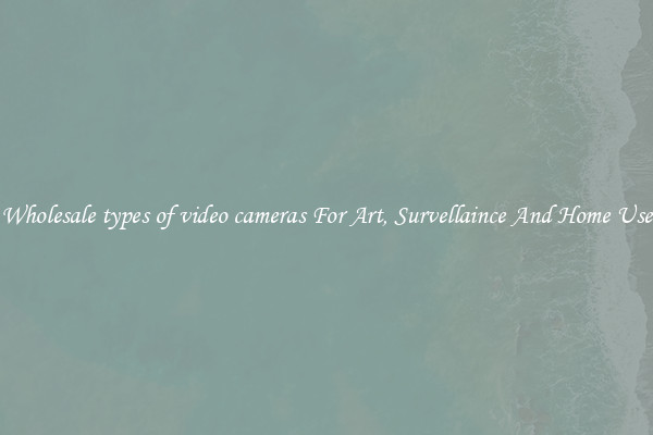Wholesale types of video cameras For Art, Survellaince And Home Use