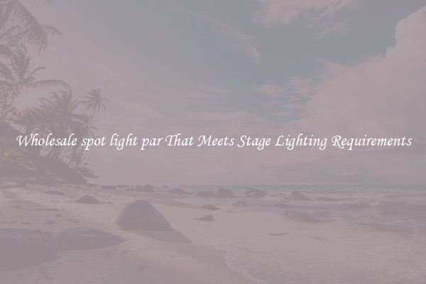 Wholesale spot light par That Meets Stage Lighting Requirements