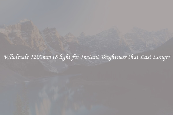 Wholesale 1200mm t8 light for Instant Brightness that Last Longer