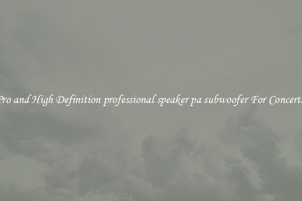 Pro and High Definition professional speaker pa subwoofer For Concerts 