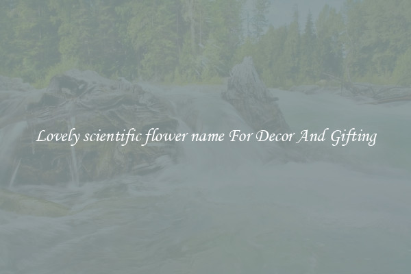 Lovely scientific flower name For Decor And Gifting