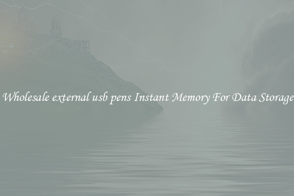 Wholesale external usb pens Instant Memory For Data Storage