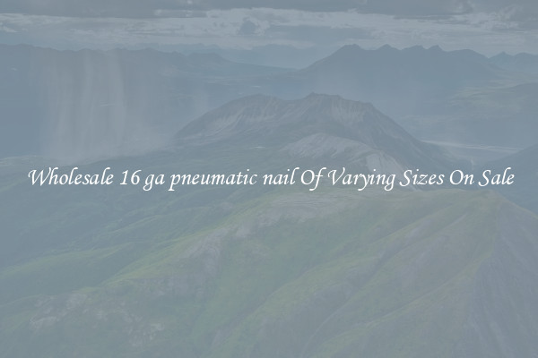 Wholesale 16 ga pneumatic nail Of Varying Sizes On Sale