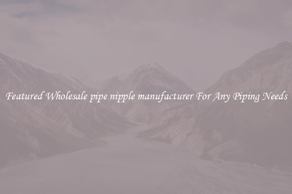 Featured Wholesale pipe nipple manufacturer For Any Piping Needs