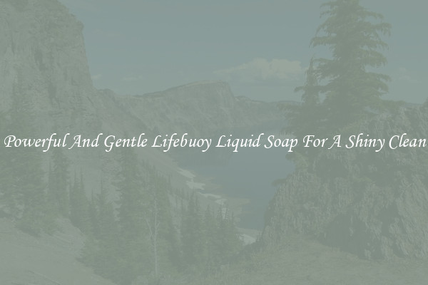 Powerful And Gentle Lifebuoy Liquid Soap For A Shiny Clean