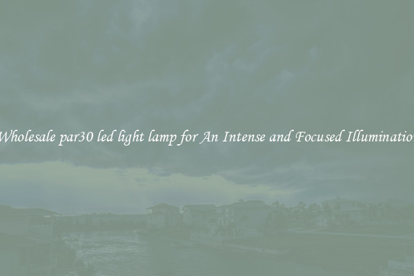 Wholesale par30 led light lamp for An Intense and Focused Illumination