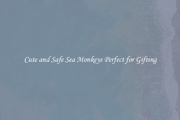 Cute and Safe Sea Monkeys Perfect for Gifting