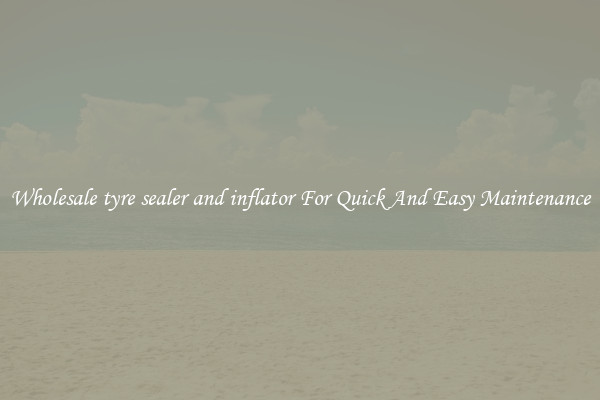 Wholesale tyre sealer and inflator For Quick And Easy Maintenance