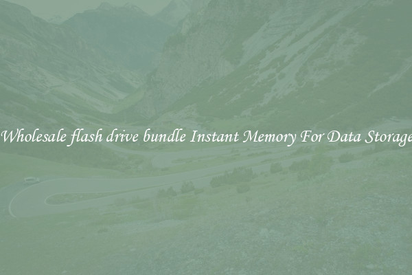 Wholesale flash drive bundle Instant Memory For Data Storage