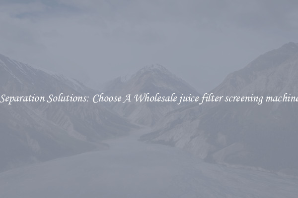Separation Solutions: Choose A Wholesale juice filter screening machine