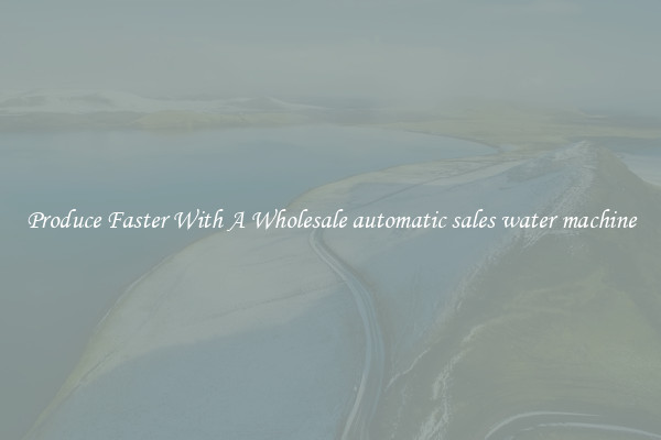 Produce Faster With A Wholesale automatic sales water machine
