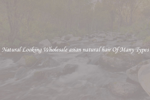Natural Looking Wholesale asian natural hair Of Many Types