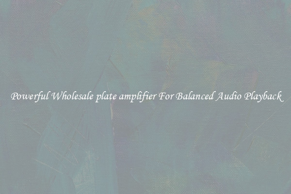 Powerful Wholesale plate amplifier For Balanced Audio Playback