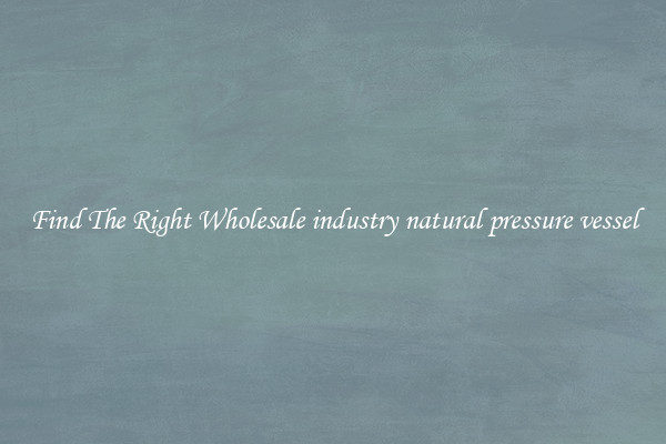 Find The Right Wholesale industry natural pressure vessel