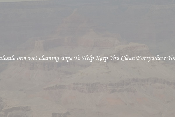 Wholesale oem wet cleaning wipe To Help Keep You Clean Everywhere You Go