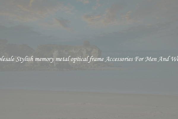 Wholesale Stylish memory metal optical frame Accessories For Men And Women