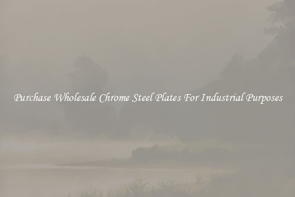 Purchase Wholesale Chrome Steel Plates For Industrial Purposes
