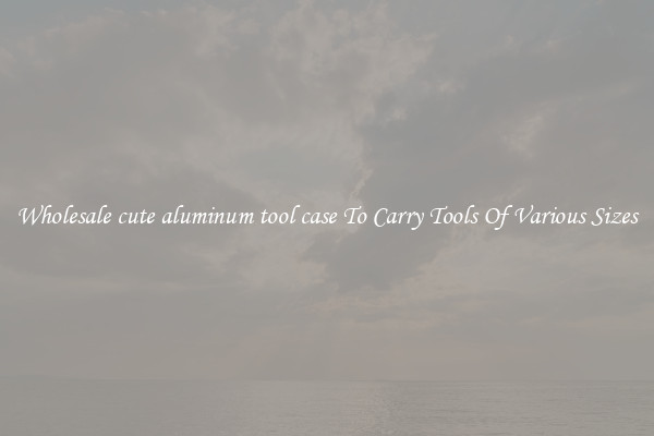 Wholesale cute aluminum tool case To Carry Tools Of Various Sizes